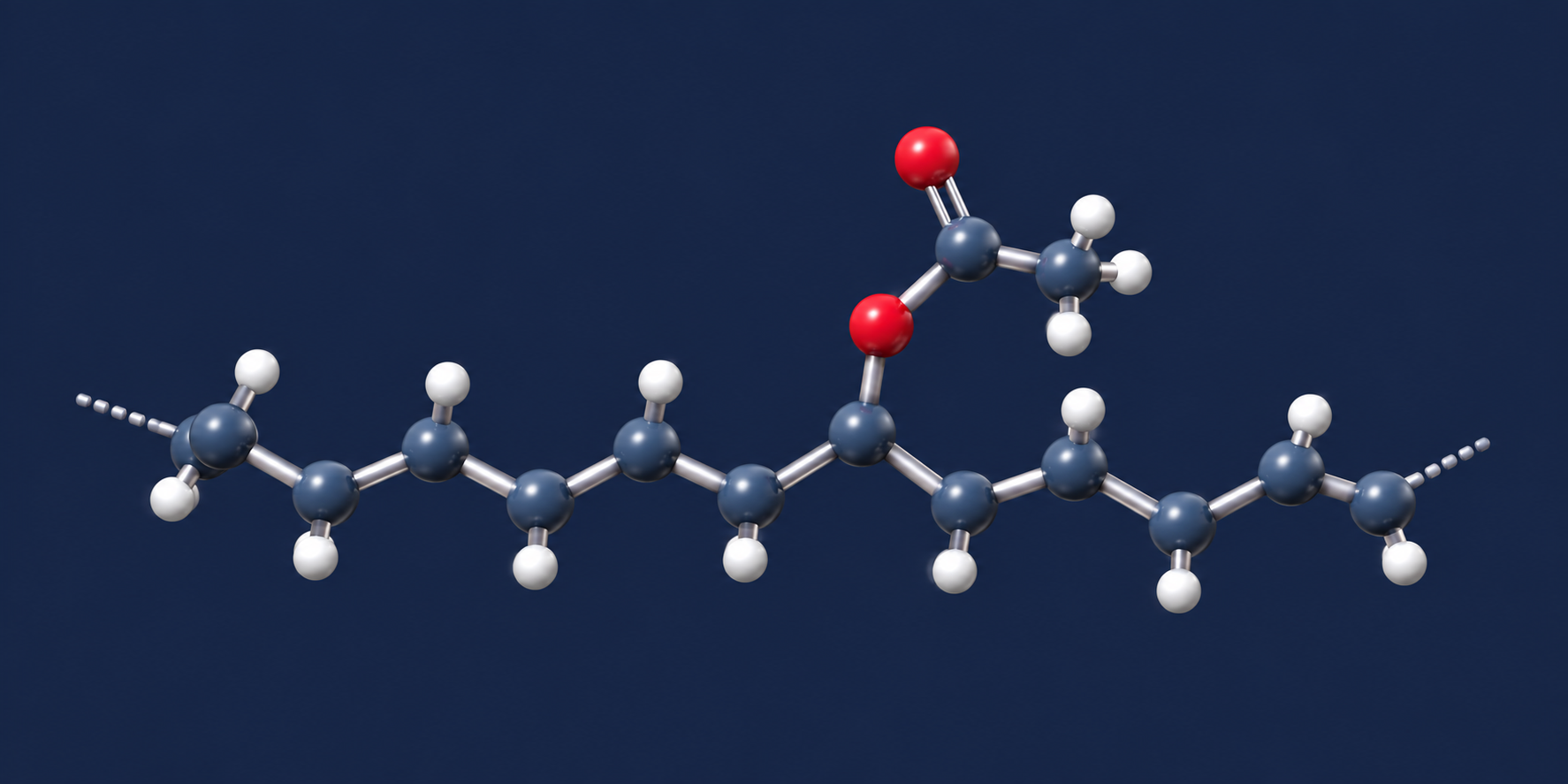 Modelo 3D orientativo de un fragmento de EVA con grupo acetato lateral y oxígenos rojos